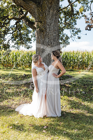 DDPH0382
